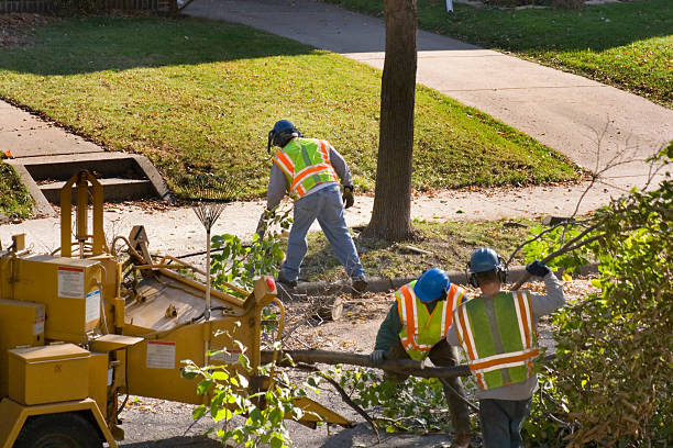 Leaf Removal in North College Hill, OH